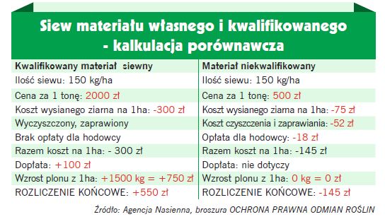 Siew materiału własnego i kwalifikowanego - kalkulacja porównawcza
